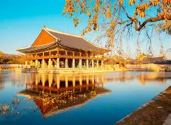 韩国篮球联赛：首尔战士队紧追不舍，一路前行